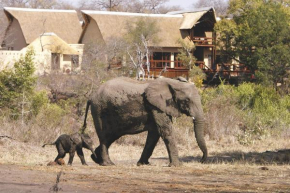 Elephant Plains Game Lodge